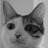 catsonar
