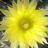 christineb28