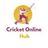 Cricket Online Hub