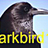 darkbird18 Wharry