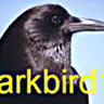 darkbird18 Wharry