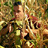 davegrenier82