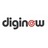 Diginow Web Design