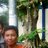 dimassony