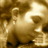dsteck