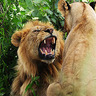 Duma Afrika Treks