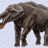 egomphotherium