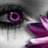 elp_00_84