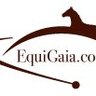 Equi Gaia