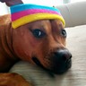 erickguevara