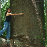 Erika Taranto