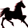 erinmaire