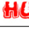 Festival Hungama