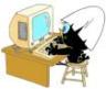 flyingbird65