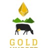 Gold Nugget