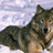 halfwolf