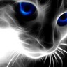 hdwallpapers pics