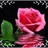 hodamohamed