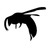 hornet_valley