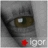 igormaynaud