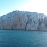 irenetlcdenia