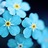 judithr1204