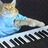 keyboardcat1