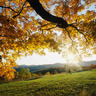 Van Lalsiama