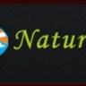 nature wings
