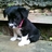 laura_l_herbert