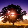 Life Love Quotes