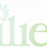 Lilies Collections