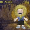 Mr. Wood