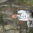 mhans013