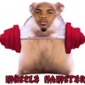 mikecoons