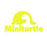 miniturtlenv