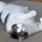 mrsnuffer