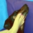 nauke0