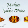 navneet-gems