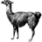 netllama