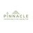 pinnacle42