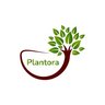 plantoraapp