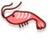 prawn_d