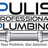 Pulis Professional Plumbing