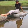 Subramanian R C