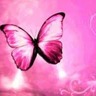 rebeca87