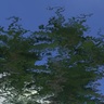 reflected