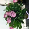 reneevingerhoed