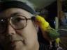 richardredhawk 