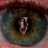 rick_armstrong